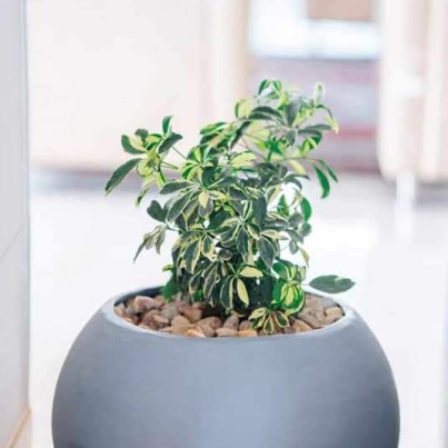 WhatsApp Image 2024-01-28 at 7.17.40 PM (7)